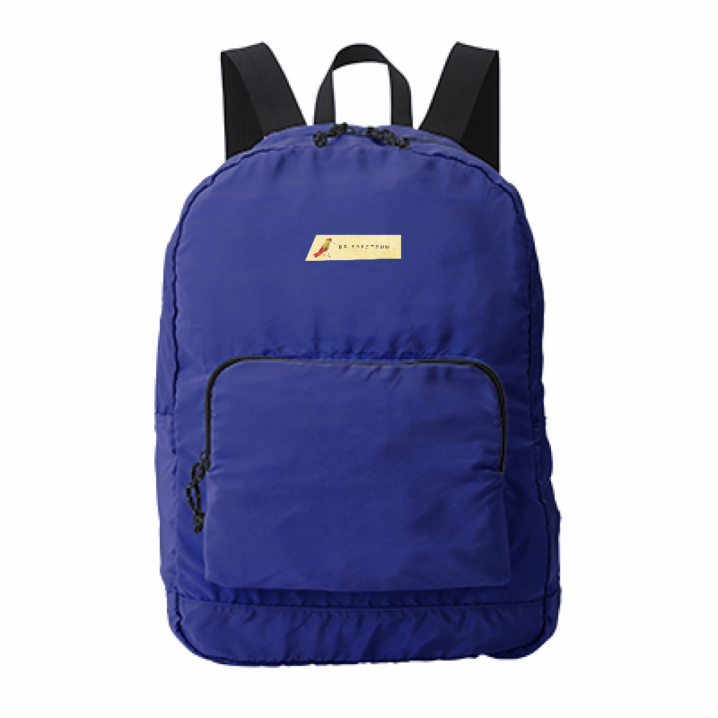 RE SPECTRUMロゴデイバック　birdモチーフ　ブルー