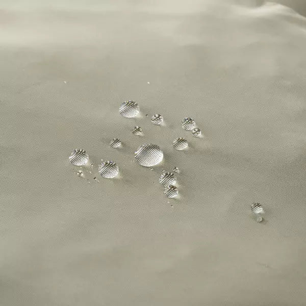 RE SPECTRUMロゴデイバック　birdモチーフ　ブルー